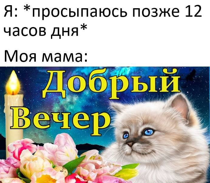 Я: *просыпаюсь позже 12 часов дня* Моя мама Доб рый чер
