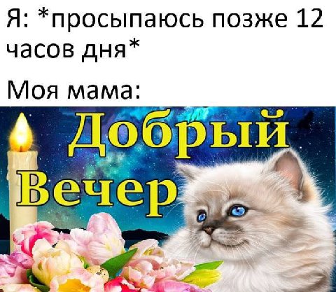 Я: *просыпаюсь позже 12 часов дня* Моя мама Доб рый чер
