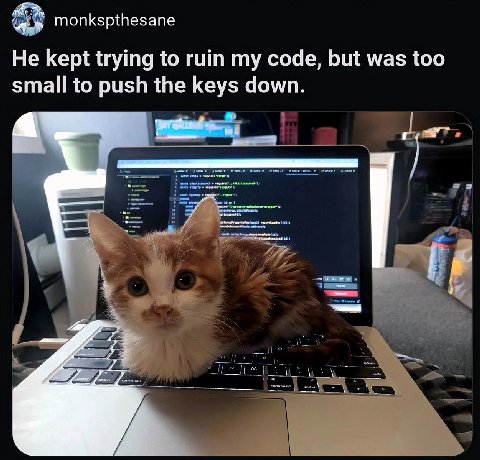 monkspthesane He kept trying to гит my code, but was too small to push the keys down 1