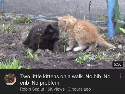 https://www.youtube.com/watch?v=NBQNrQnznzk