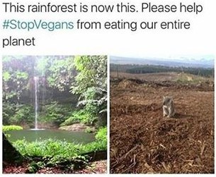 This rainforest is now this. Please help #StopVegans from eating our entire planet