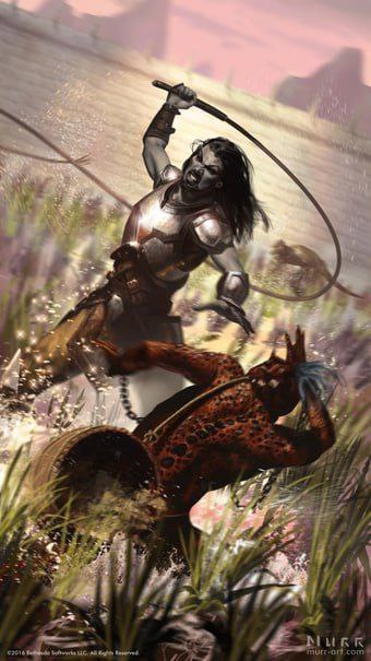 In this channel we praise Telvanni as heroes and really hate argonian scum