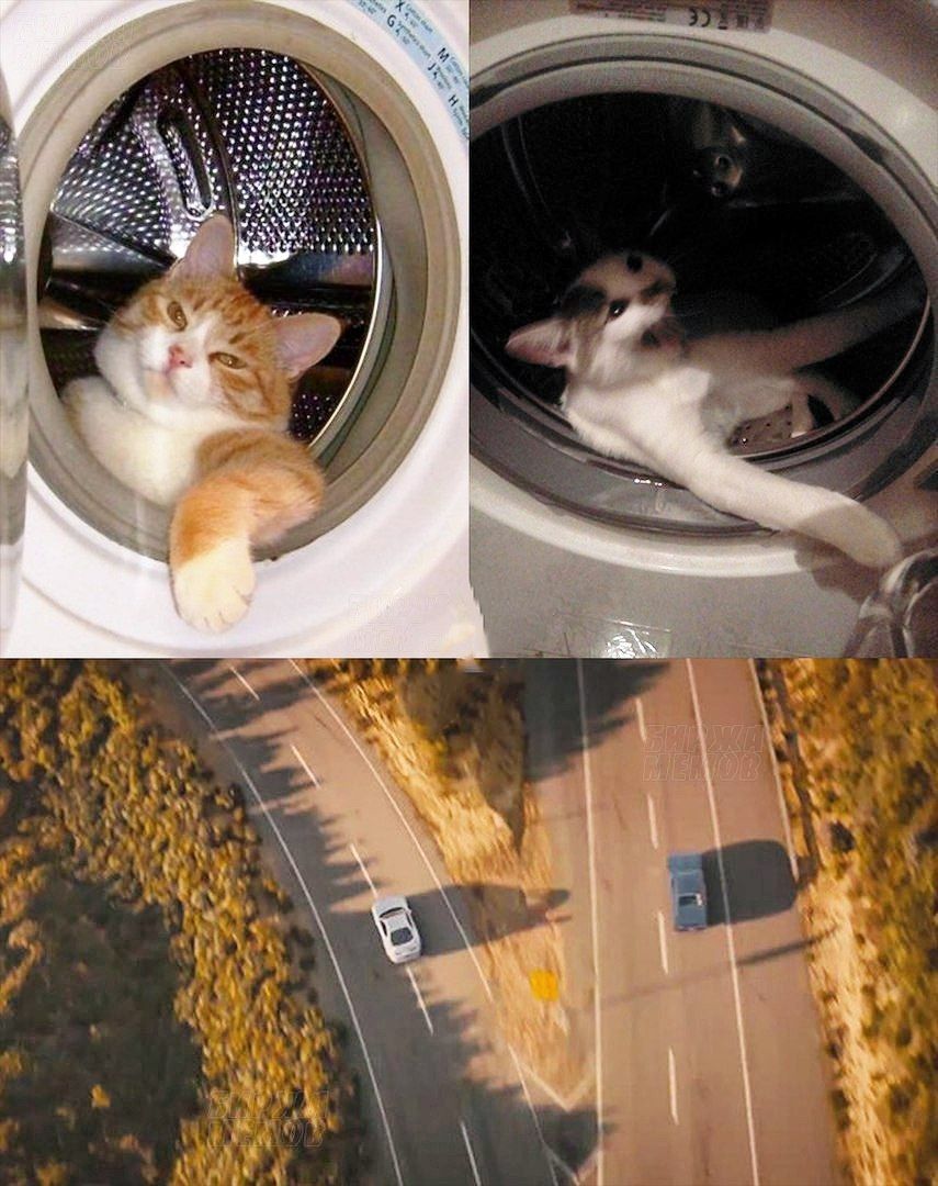 oN 4 у 4 5 3 a hen! у A у %1