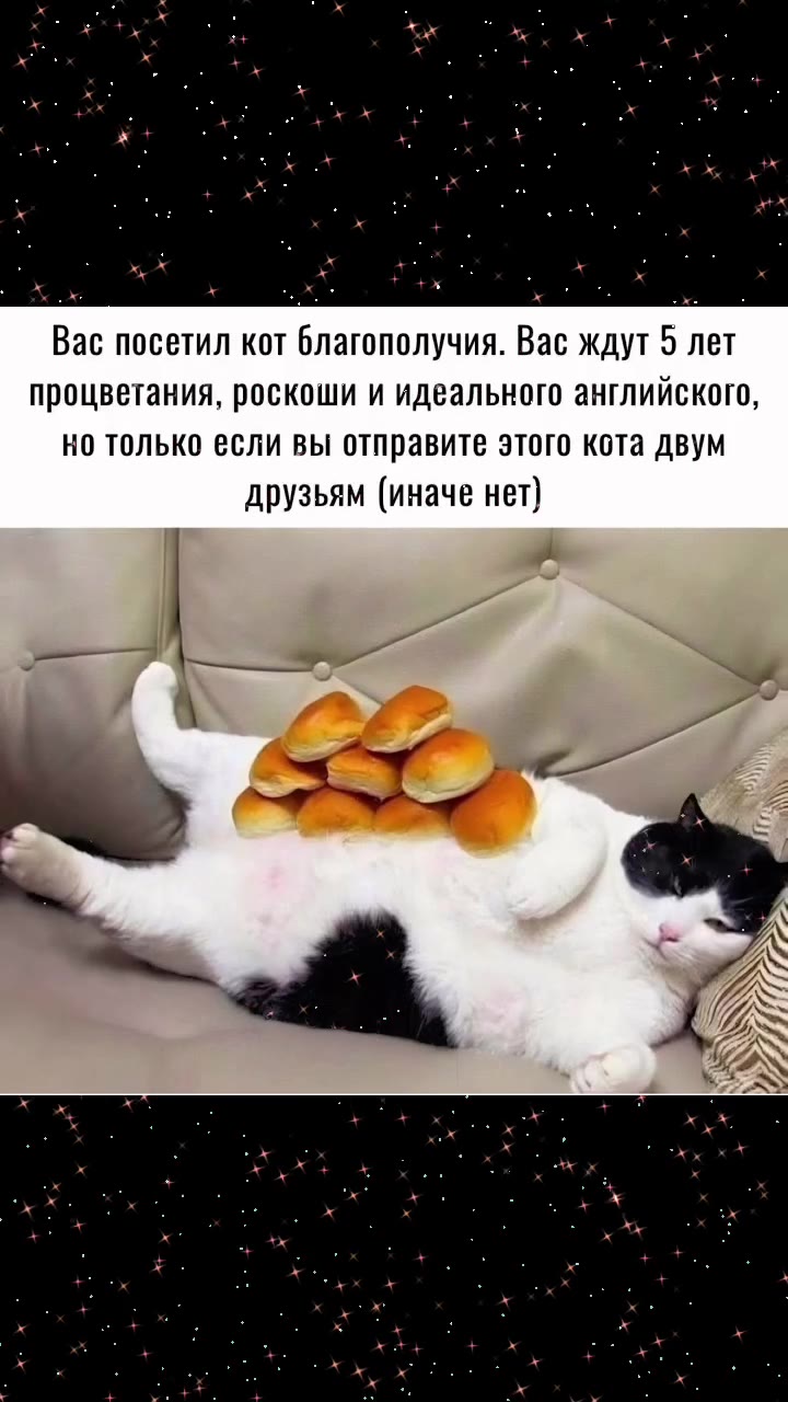 Вас посетил кот благополучия. Вас ждут 5 лет процветания, роскоши и идеального английского, но только если вы отправите этого кота двум друзьям (иначе нет)