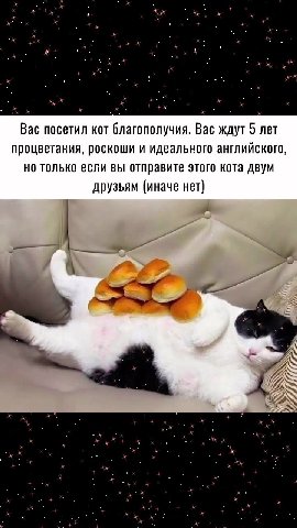 Вас посетил кот благополучия. Вас ждут 5 лет процветания, роскоши и идеального английского, но только если вы отправите этого кота двум друзьям (иначе нет)
