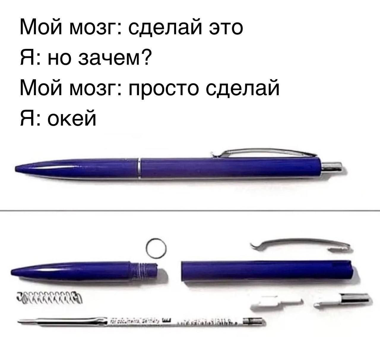 Мой мозг: сделай это Я: но зачем? Мой мозг: просто сделай Я: окей