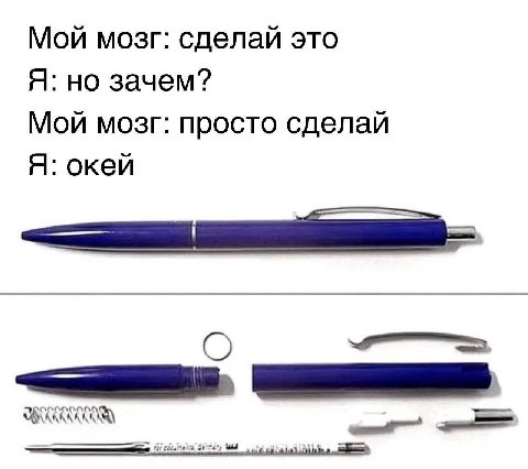 Мой мозг: сделай это Я: но зачем? Мой мозг: просто сделай Я: окей