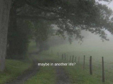 maybe in another life?