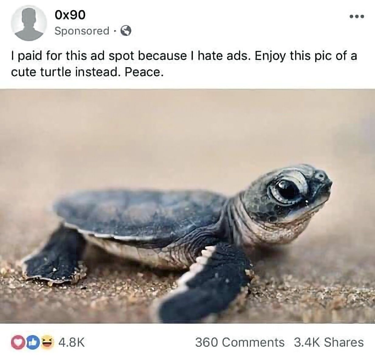Sponsored paid for this spot because hate ads. Enjoy this pic of a cute turtle instead. Peace. 360 Comments Shares