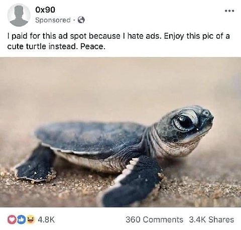 Sponsored paid for this spot because hate ads. Enjoy this pic of a cute turtle instead. Peace. 360 Comments Shares