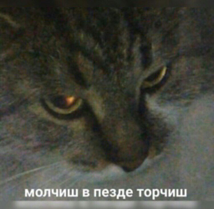 молчиш в пезде торчиш