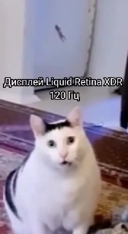 дисплей ащавВентахрв Педец\блж*ь!