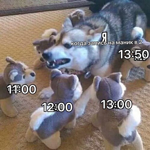 пофиксила