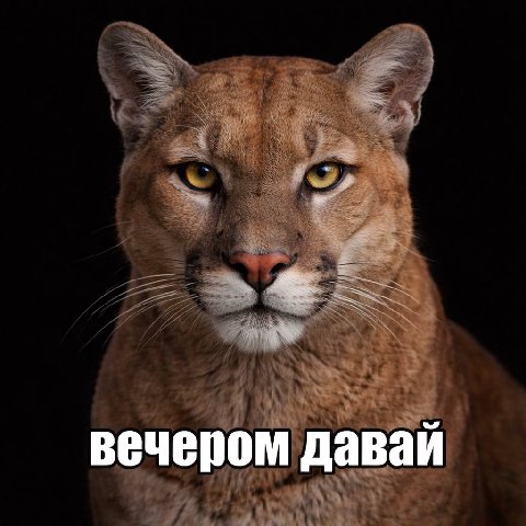 вечером давай