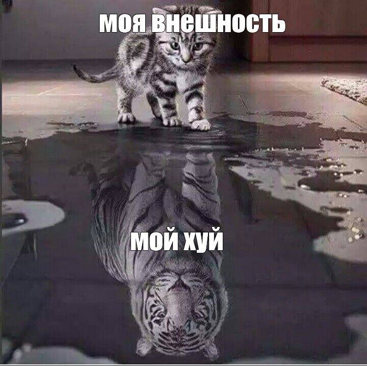 моя внешность MOK хуи