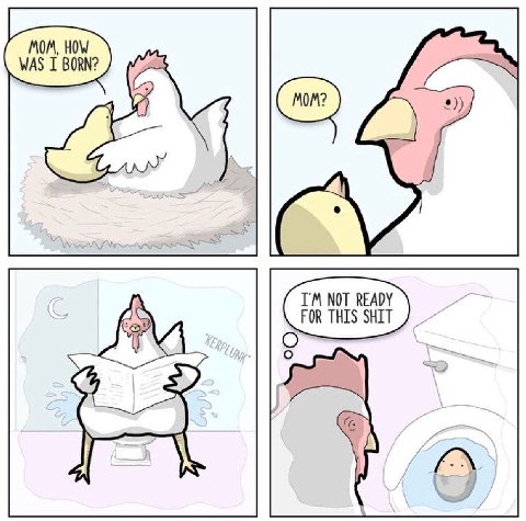 MOM, HOW WAS I BORN? NOT READY FOR THIS SHIT A