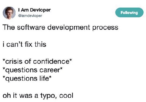 Devioper @iamdevioper The software development process i can’t fix this “crisis of сагеег* it was a typo, cool