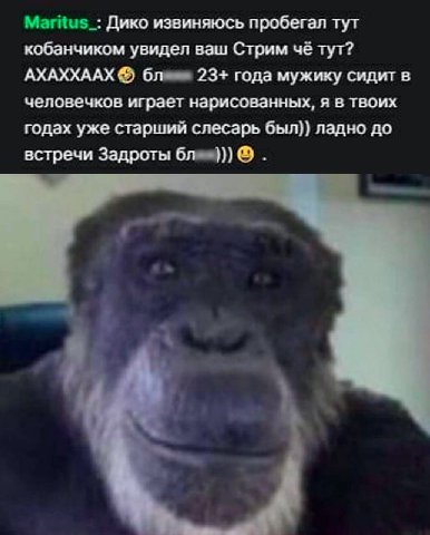 Дико извиняюсь пробегал тут кобанчиком увидел ваш Стрим че тут? АХАХХААХ 23+ года мужику сидит в человечков играет нарисованных, я в твоих годах уже старший слесарь был}) ладно до встречи Задроты