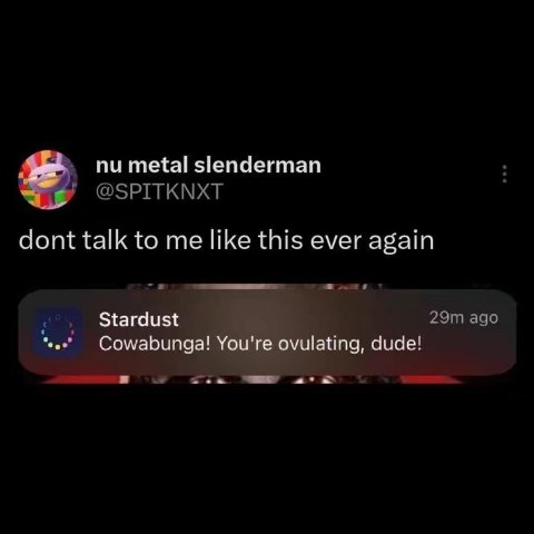 metal slenderman @SPITKNXT dont talk to me like this ever again адо Stardust Cowabunga! You're ovulating, dude! cece