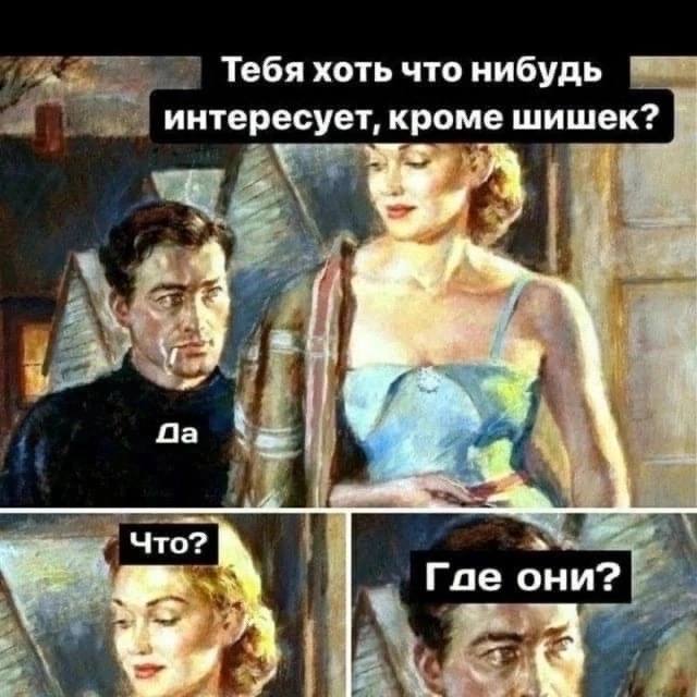 Тебя хоть что нибудь интересует, кроме шишек? a i Что? Гое они?