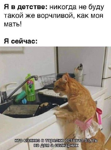 Я в детстве: никогда не буду такой же ворчливой, как моя мать! Я сейчас: у