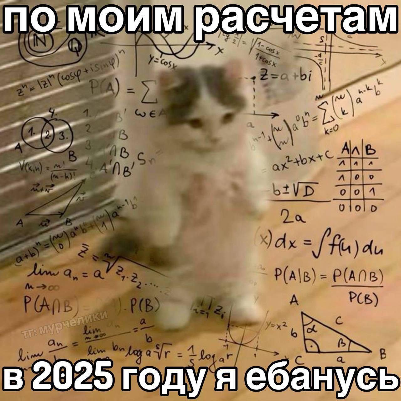 по моим расчетам в 2025 году я ебанусь