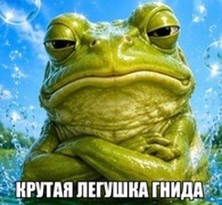 КРУТАЯ ЛЕГУШНА