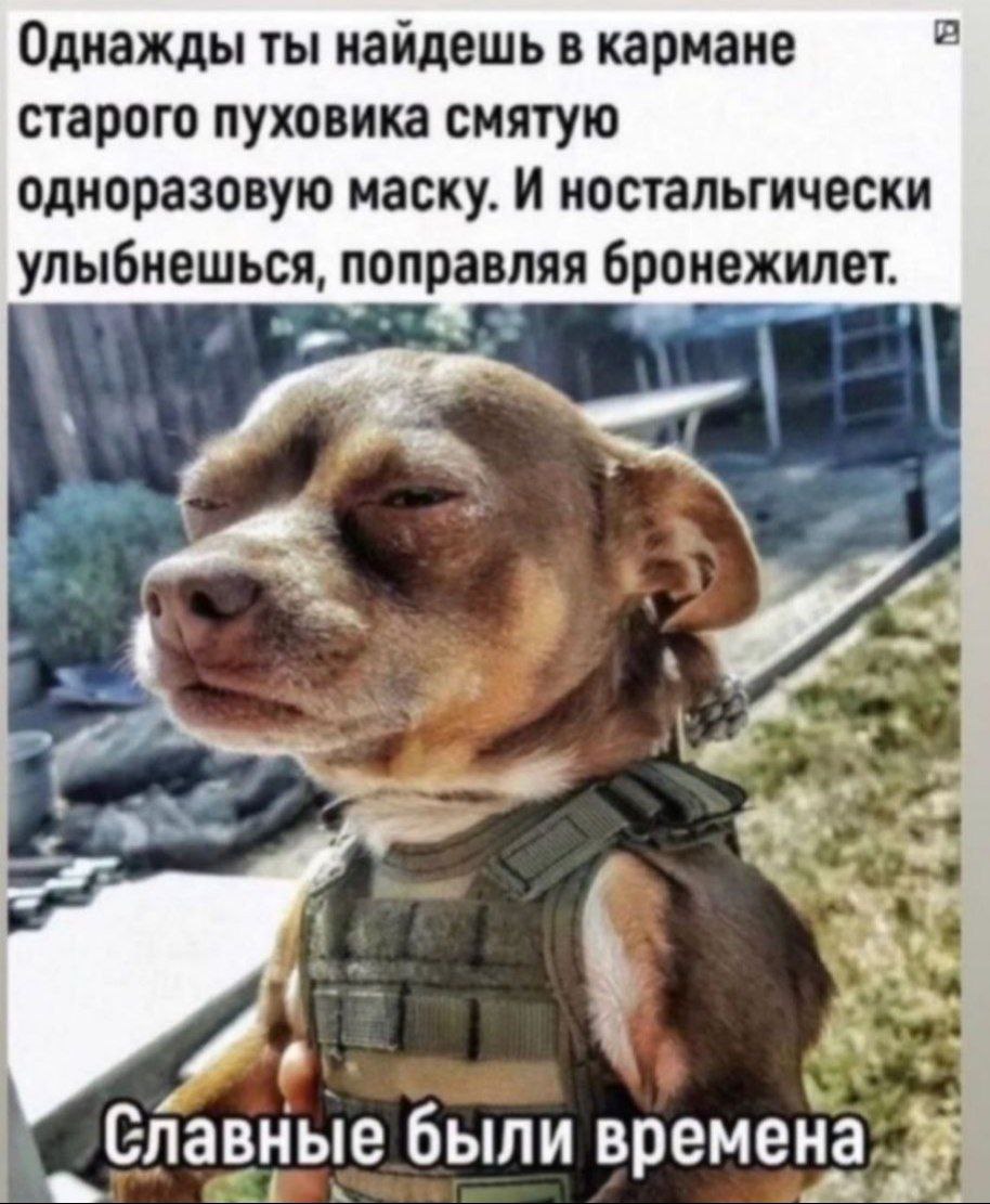 в Однажды ты найдешь в кармане старого пуховика смятую одноразовую маску. И ностальгически улыбнешься, поправляя бронежилет. 497: Славные были времена