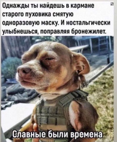 в Однажды ты найдешь в кармане старого пуховика смятую одноразовую маску. И ностальгически улыбнешься, поправляя бронежилет. 497: Славные были времена