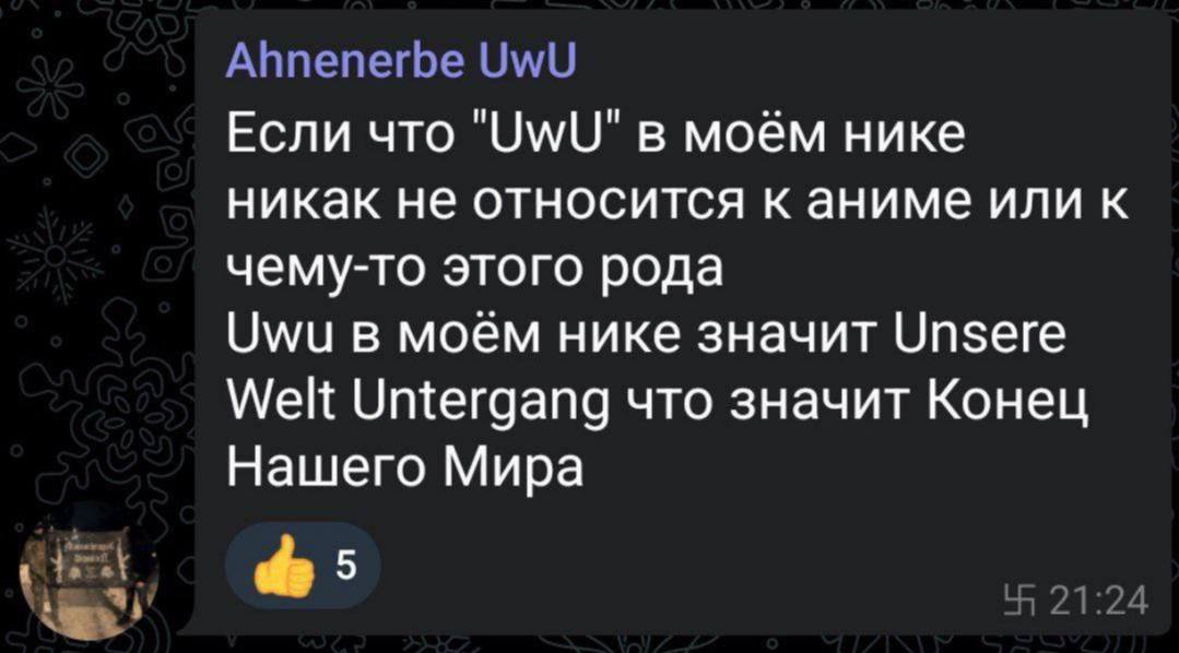 Если что в моём нике никак не относится к аниме или к чему-то этого рода Омии в моем нике значит Unsere Welt Untergang что значит Конец Нашего Мира diz 5