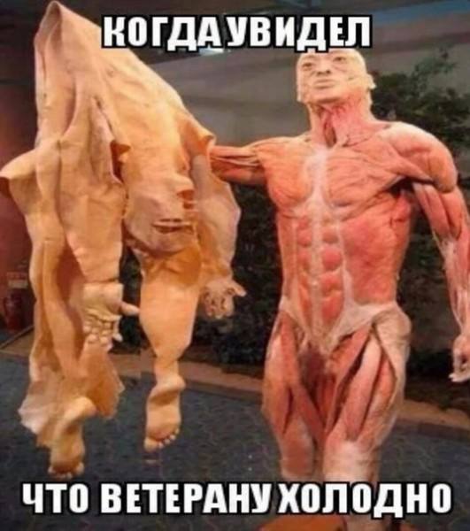 КОГДАУВИДЕЛ ЧТО ВЕТЕРАНУ ХОЛОДНО
