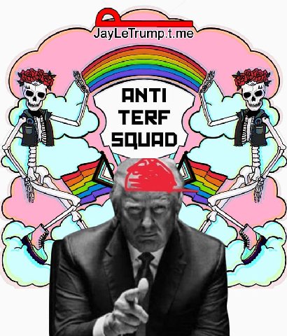 🇺🇸 🦁 🗽 🏳️‍⚧️ — President-elect Donald Trump announces broad crackdown on TERFism. 

1. An executive order to ban federal agencies from promoting or funding "TERF identity politics" for all ages.

2. R