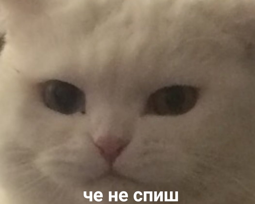 He спиш