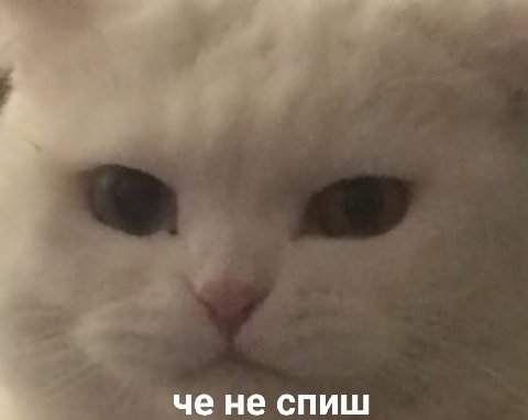 He спиш