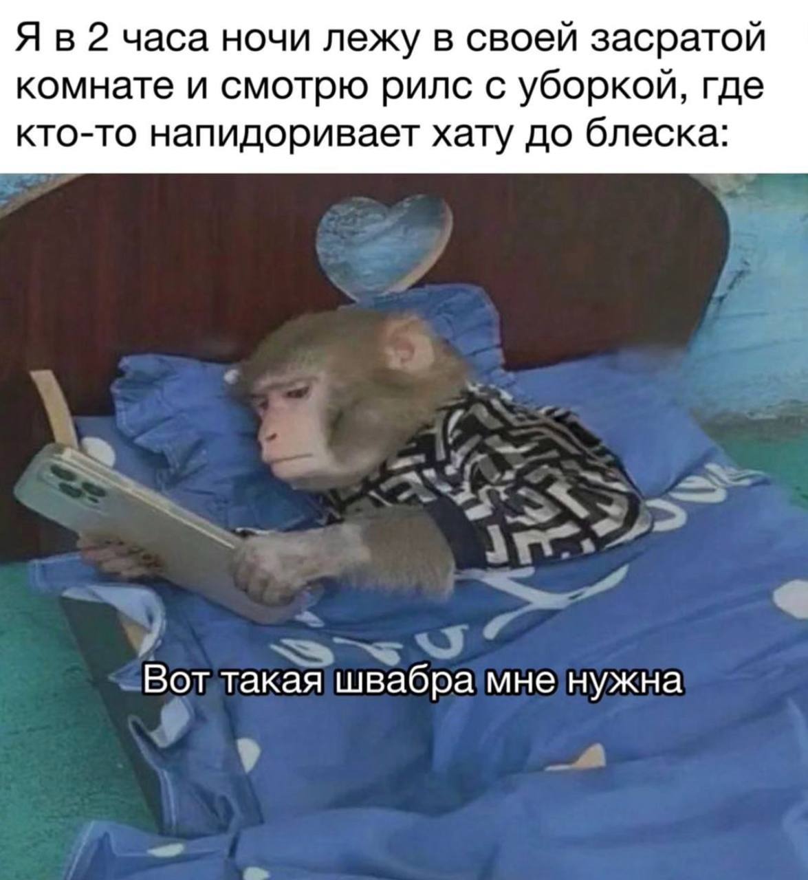 Я в 2 часа ночи лежу в своей засратой комнате и смотрю рилс с уборкой, где кто-то напидоривает хату до блеска: Вот такая швабра мне нужна