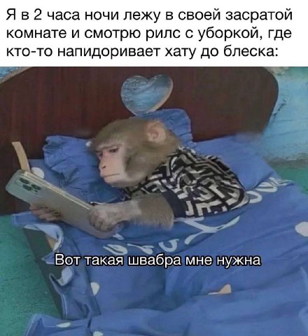 Я в 2 часа ночи лежу в своей засратой комнате и смотрю рилс с уборкой, где кто-то напидоривает хату до блеска: Вот такая швабра мне нужна