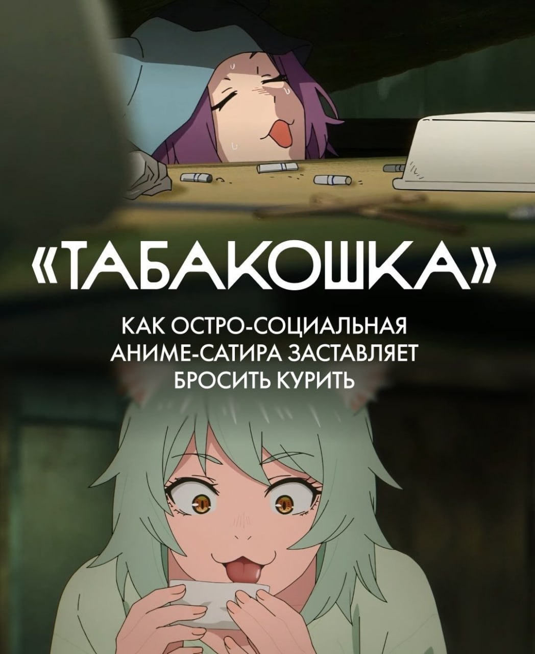 бля пиздц соевые ебнулись реално