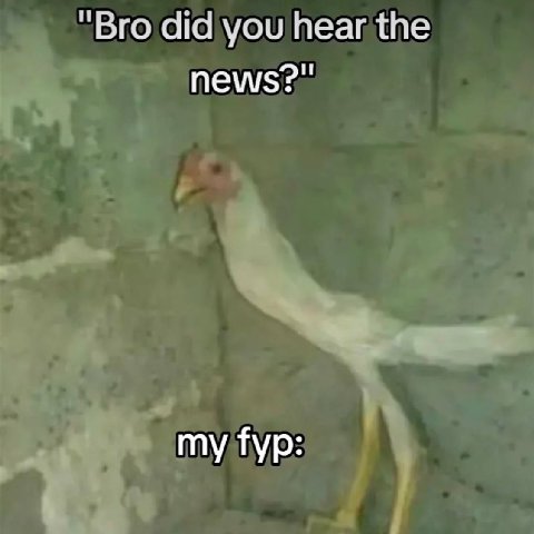 “Bro did you hear the news?" my Тур: