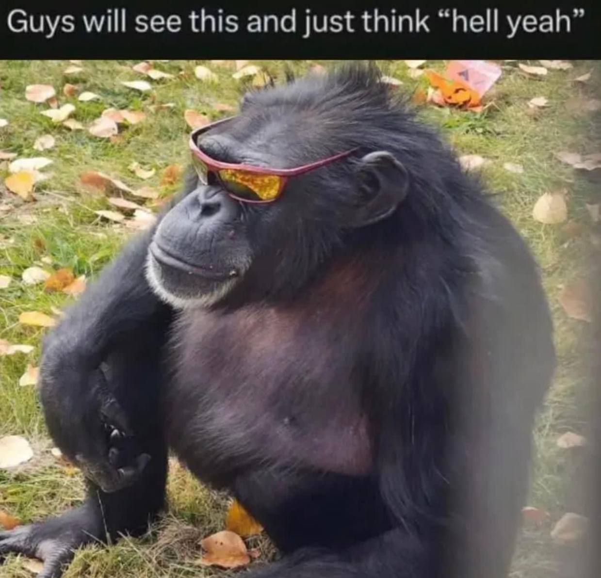 Guys will see this and just think “hell
