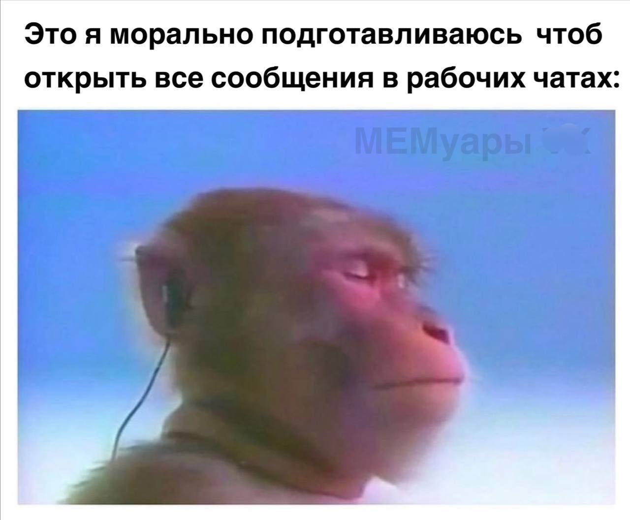 Это я морально подготавливаюсь чтоб открыть все сообщения в рабочих чатах: