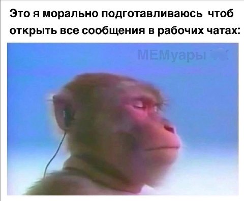 Это я морально подготавливаюсь чтоб открыть все сообщения в рабочих чатах: