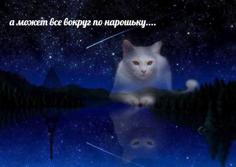 а может все по нарошьнц....