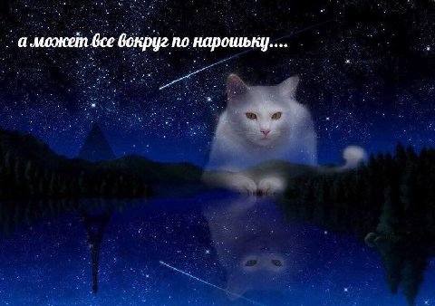 а может все по нарошьнц....