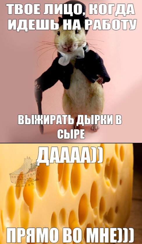 ТВОЕ ЛИЦО КОГДА ИДЕШЬ НА ДЫРКИВ MHE)))