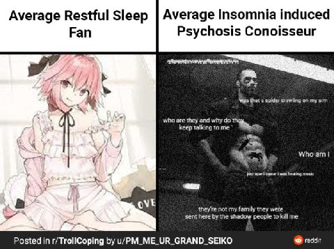Average Restful Sleep Average Insomnia induced Fan Psychosis Conoisseur A Was that в spider crawling on my arm who are they and why keep talking to me now pwear was mus ove they're not my family they 