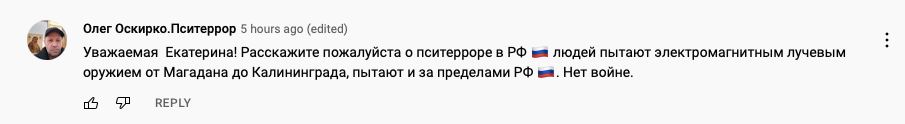 из комментариев под видео шульман