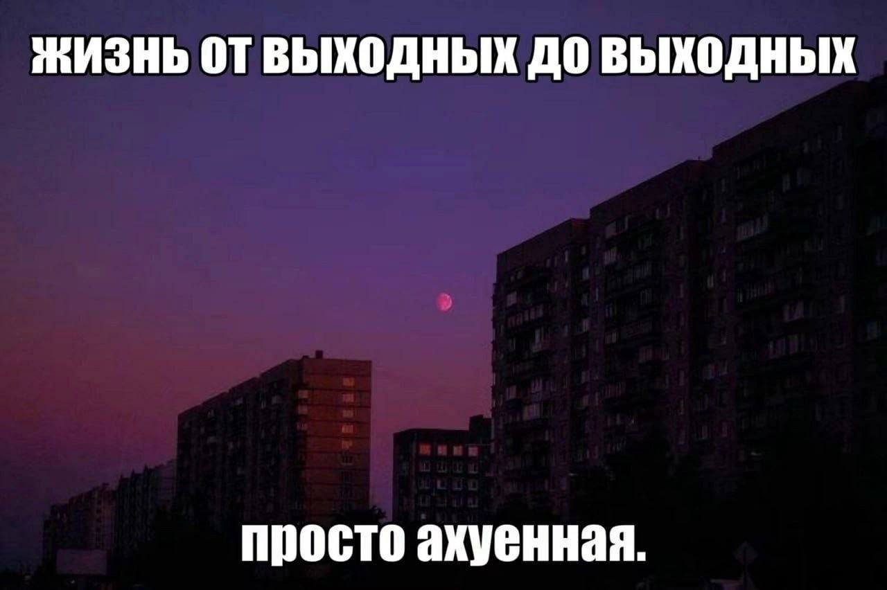 ЖИЗНЬ ВЫХОДНЫХ ДО ВЫХОДНЫХ просто ахуенная.