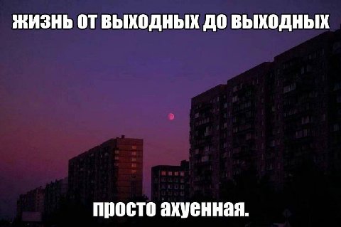 ЖИЗНЬ ВЫХОДНЫХ ДО ВЫХОДНЫХ просто ахуенная.