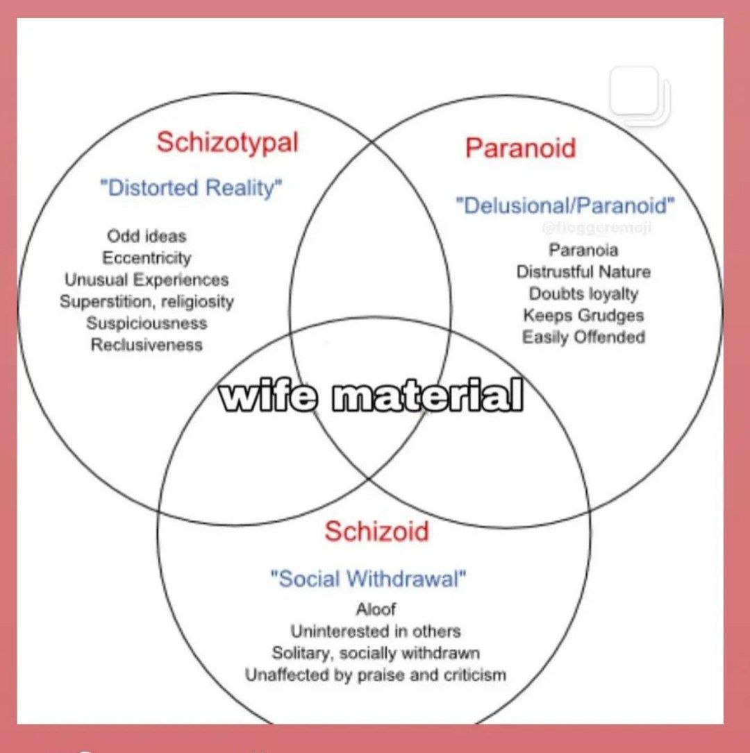 Schizotypal Paranoid "Distorted Reality” Paranoia Eccentricity Unusual Experiences Distrustful Nature Superstition, religiosity loyalty Suspiciousness eeps Grudges Easily Offended mat Schizoid "Social