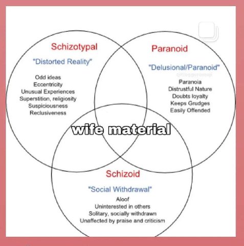 Schizotypal Paranoid "Distorted Reality” Paranoia Eccentricity Unusual Experiences Distrustful Nature Superstition, religiosity loyalty Suspiciousness eeps Grudges Easily Offended mat Schizoid "Social